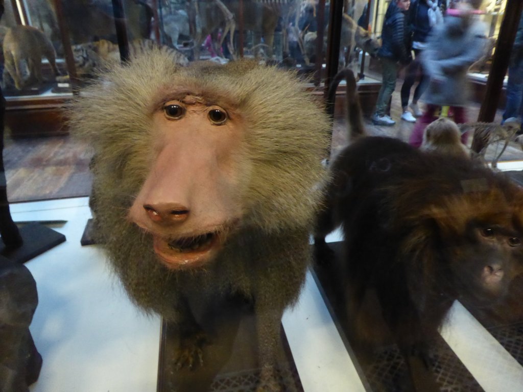 A Day in&nbsp;Dublin