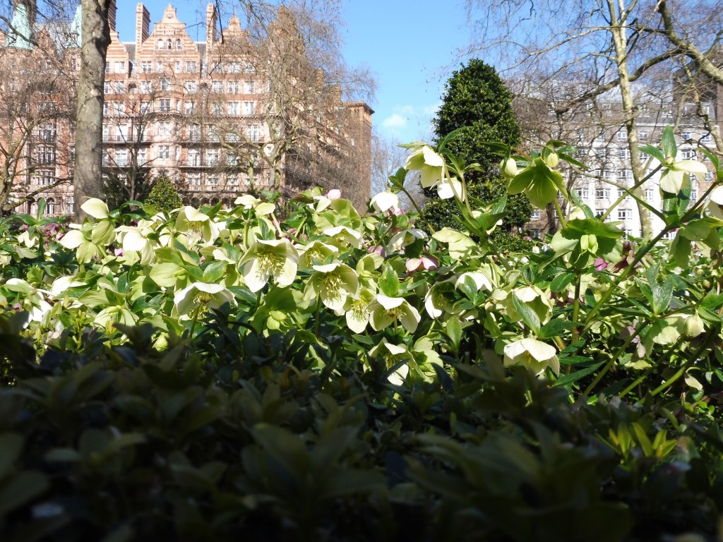 Contiki Take Two: London&nbsp;Bound