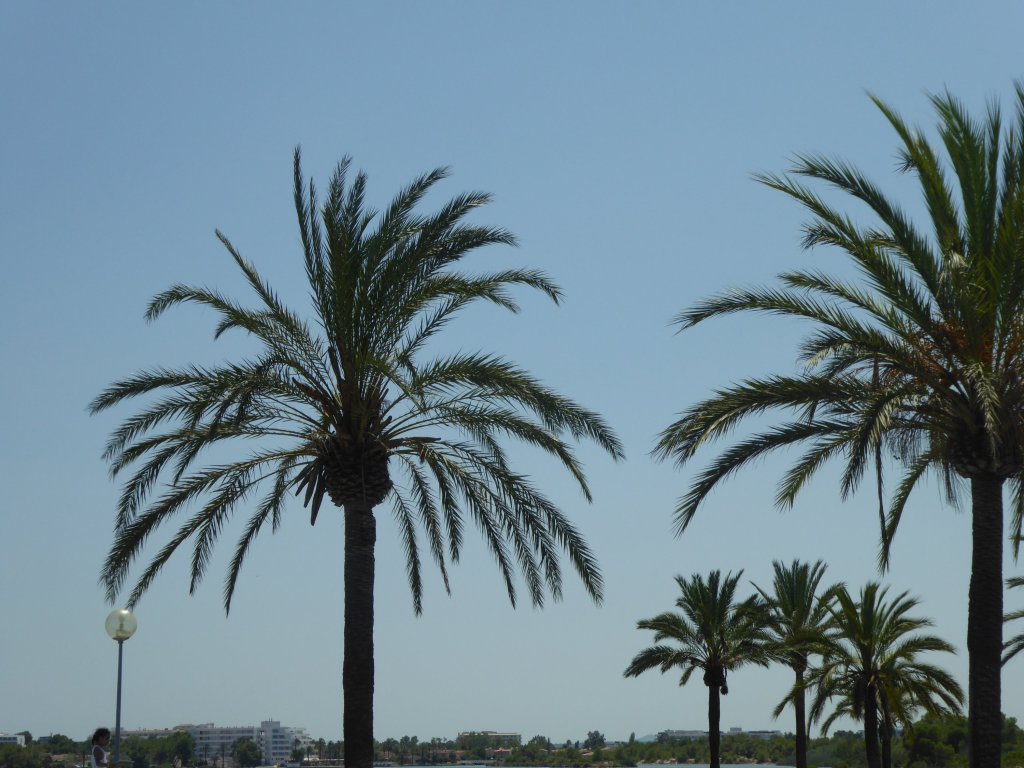 Making the most of&nbsp;things