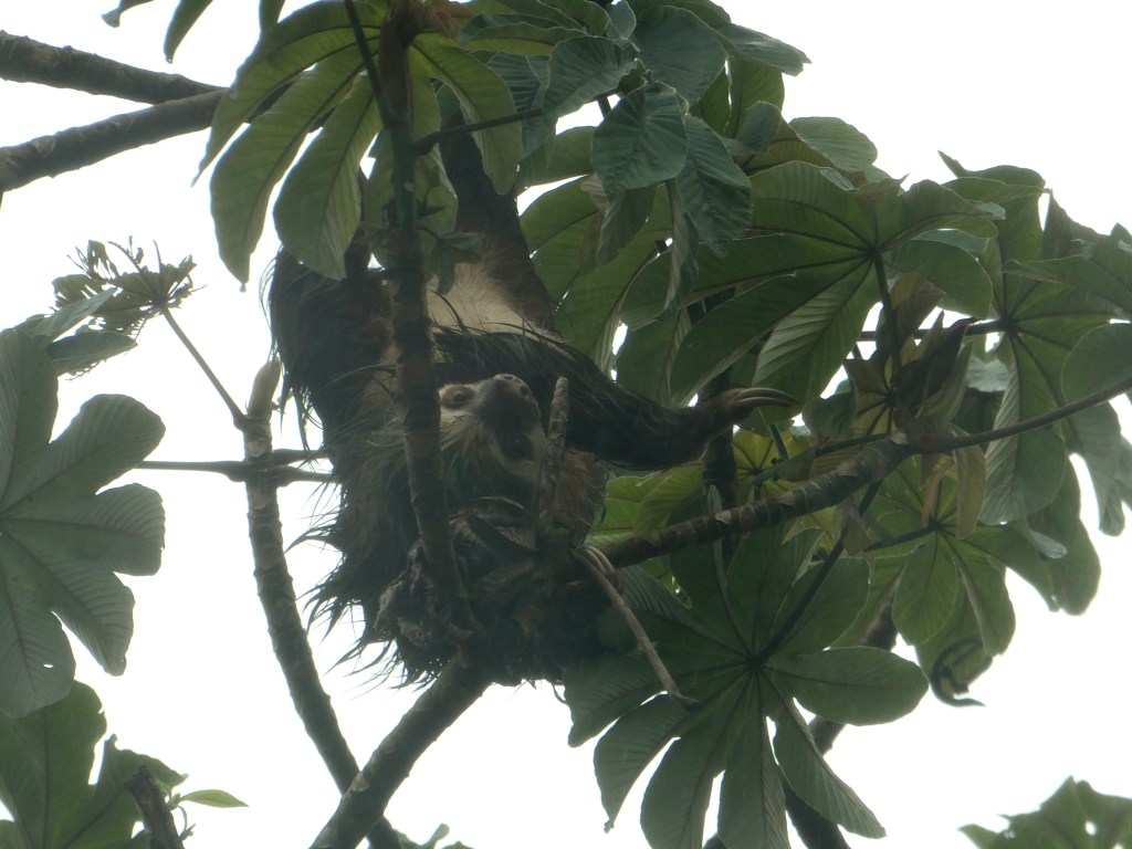 Costa Rica Day 3 – Facing a&nbsp;Fear