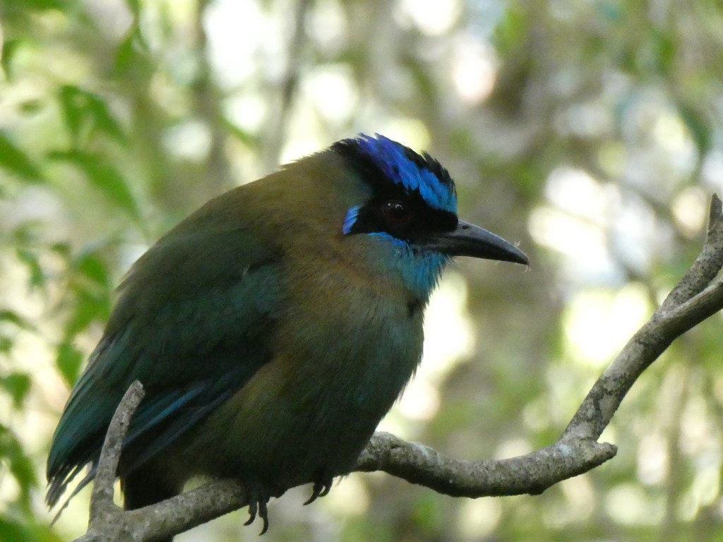 Costa Rica Day 7 – Back to&nbsp;Nature