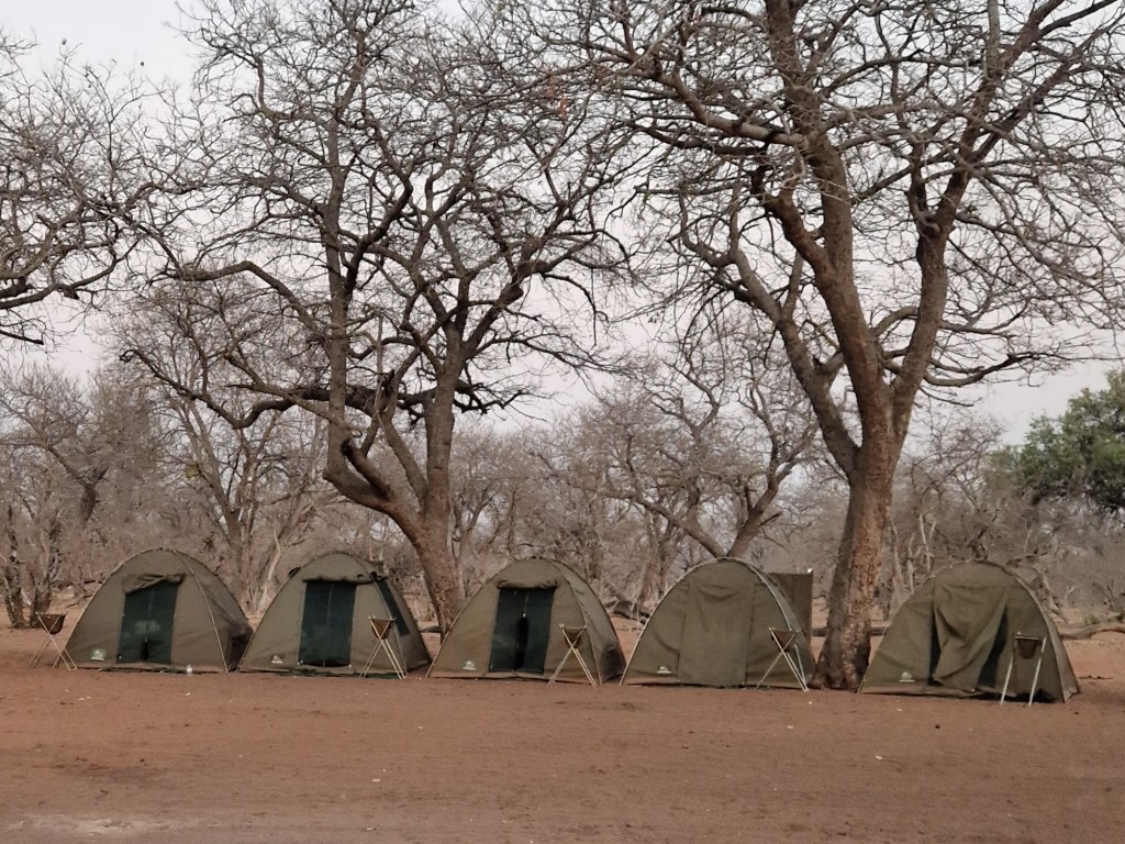 Cape Safari & Falls – Days&nbsp;9-10